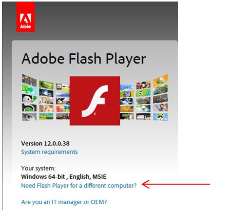 internet browser with flash player